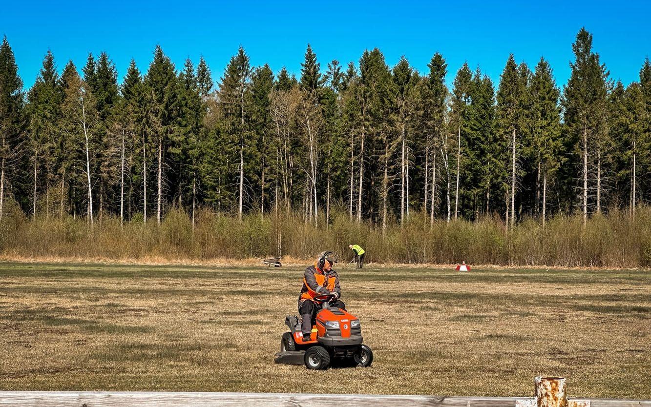 Örestens flygklubb i Mark har städdag efter vildsvinens framfart.